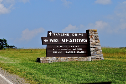 An image depicting the trail Story of the Forest Trail and its surrounding area.