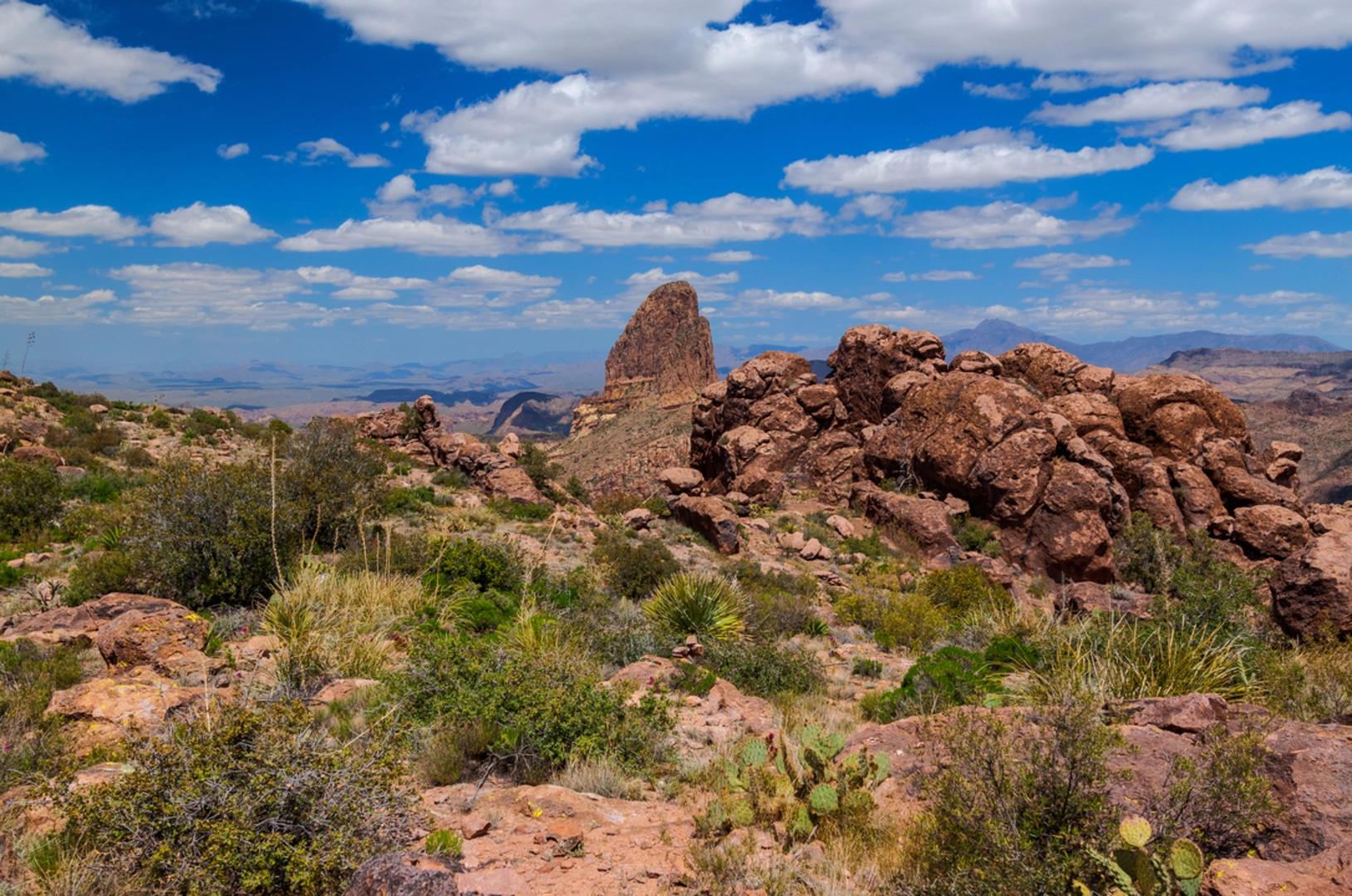 An image depicting the trail Red Tanks Trail via Coffee Flat Trail and its surrounding area.