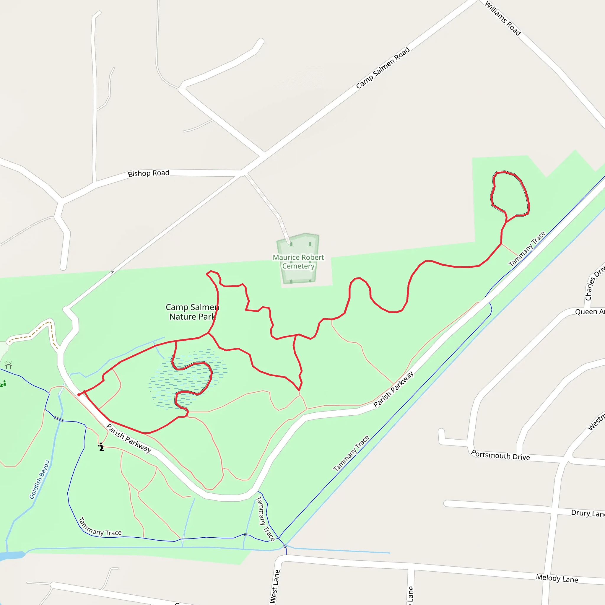 Camp Salmen Nature Park Loop mobile static map