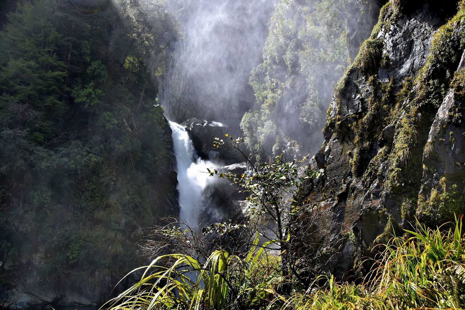 An image depicting the trail Hollyford Track - Hidden Falls Track and its surrounding area.