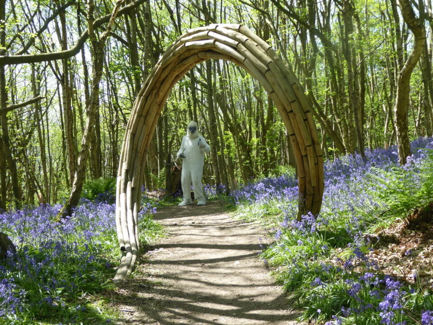 An image depicting the trail Riverhill Himalayan Gardens and its surrounding area.