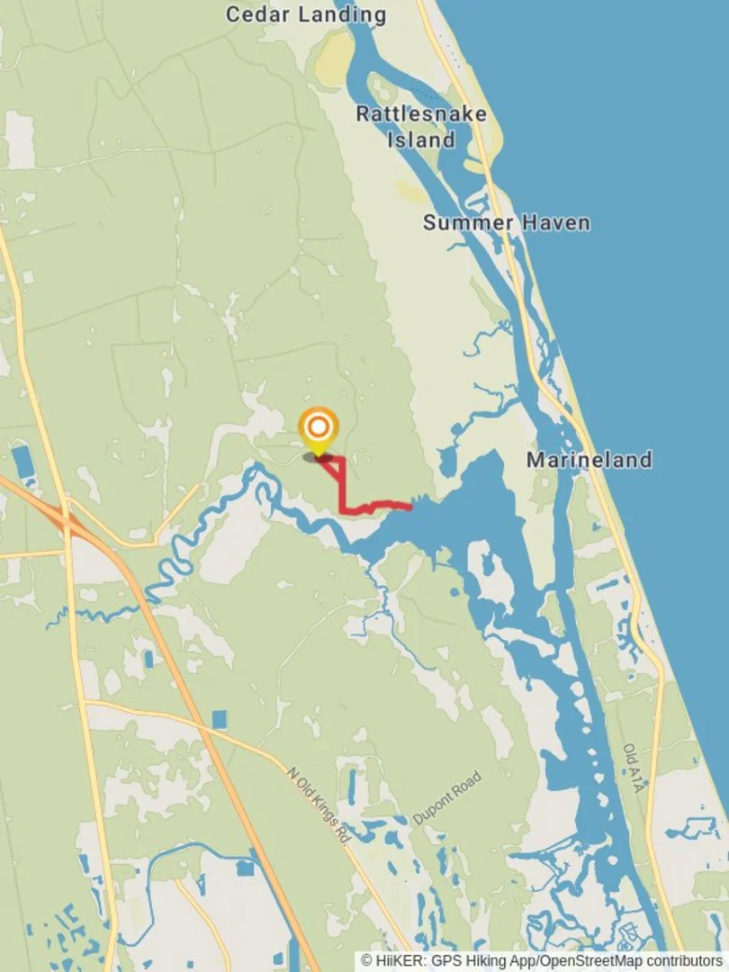 An image depicting the trail Faver-Dykes State Park - Pellicer Creek and its surrounding area.