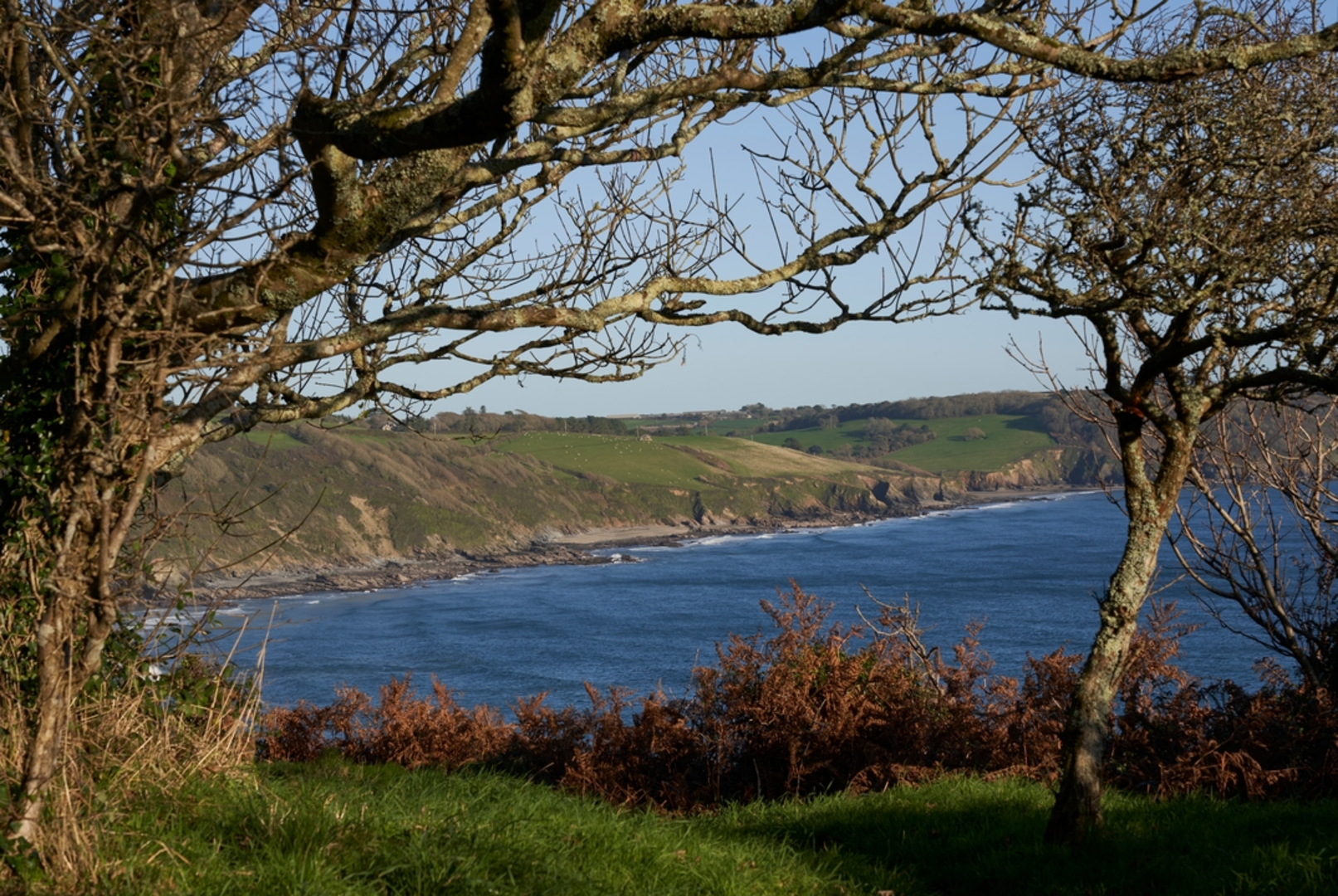 An image depicting the trail Portloe and Tregenna Walk and its surrounding area.