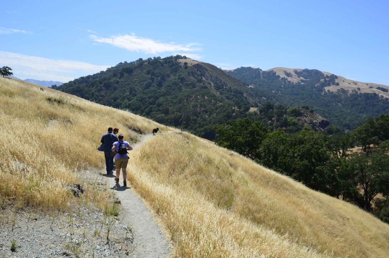 An image depicting the trail Indian Joe Creek Trail and Alameda Creek Loop and its surrounding area.
