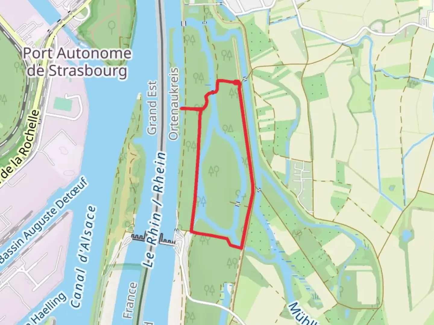 An image depicting the trail Rheinauenwald Loop via Rheinaueweg and its surrounding area.
