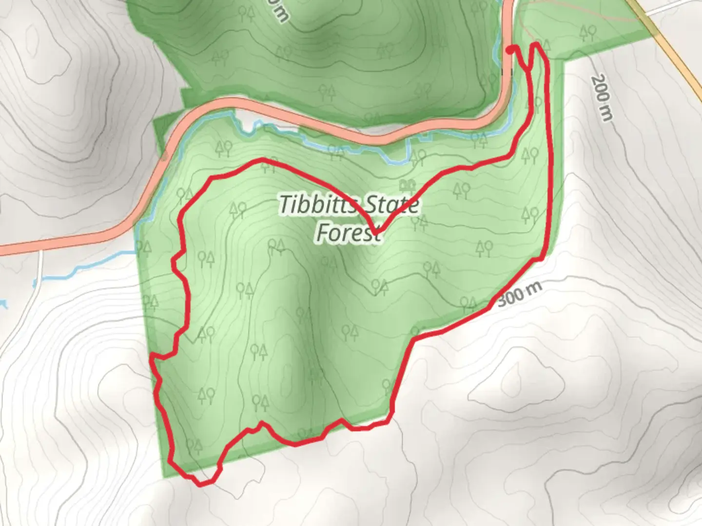 An image depicting the trail Tibbits State Forest Loop and its surrounding area.