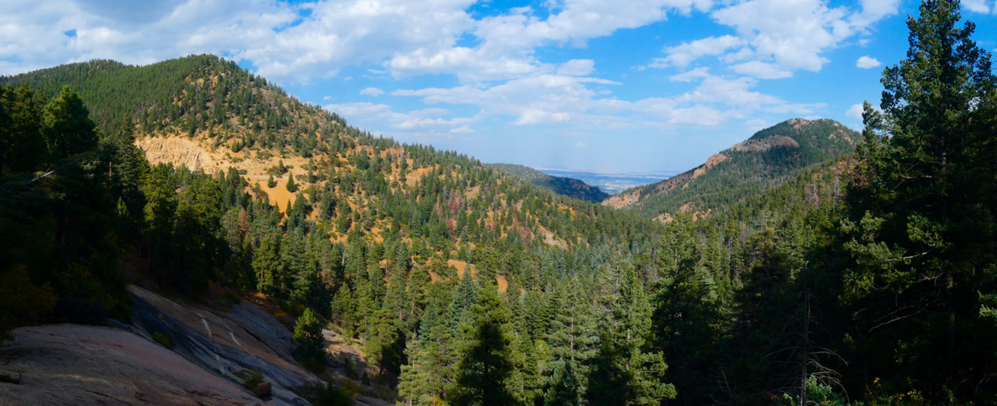 An image depicting the trail Bear Creek Trail and its surrounding area.