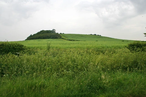 An image depicting the trail Notts Wolds Way and its surrounding area.