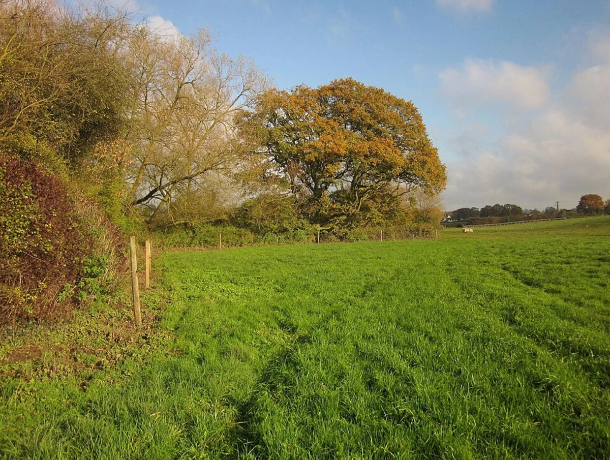 Frome Valley Walkway - Yate