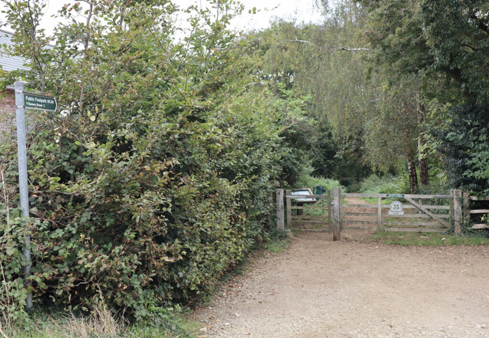 An image depicting the trail Borthwood Copse Loop and its surrounding area.