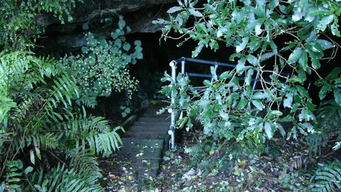 Mangaone Caves Track