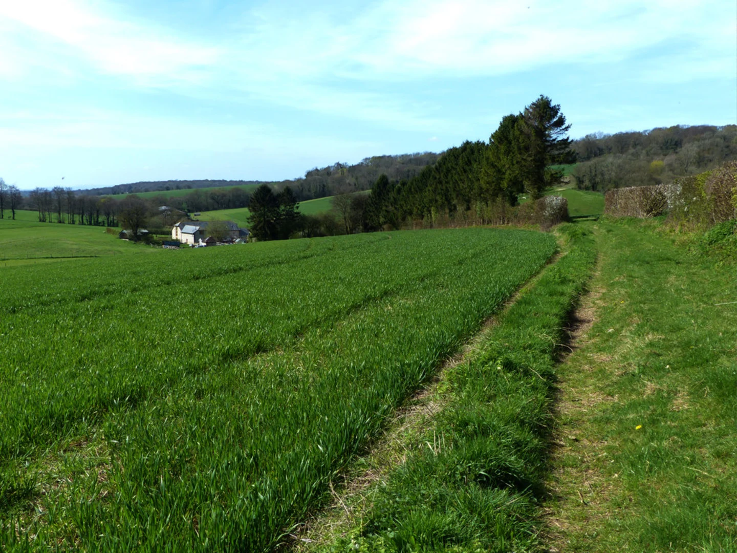 An image depicting the trail Stoughton to Pitlands Farm Walk and its surrounding area.