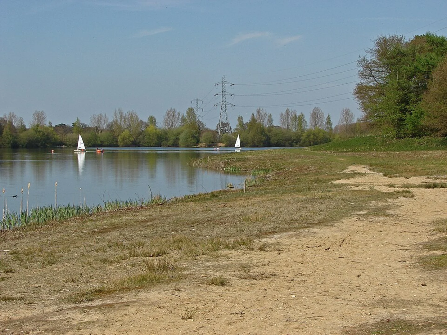 An image depicting the trail Papercourt Lake and Tannery Lane and its surrounding area.