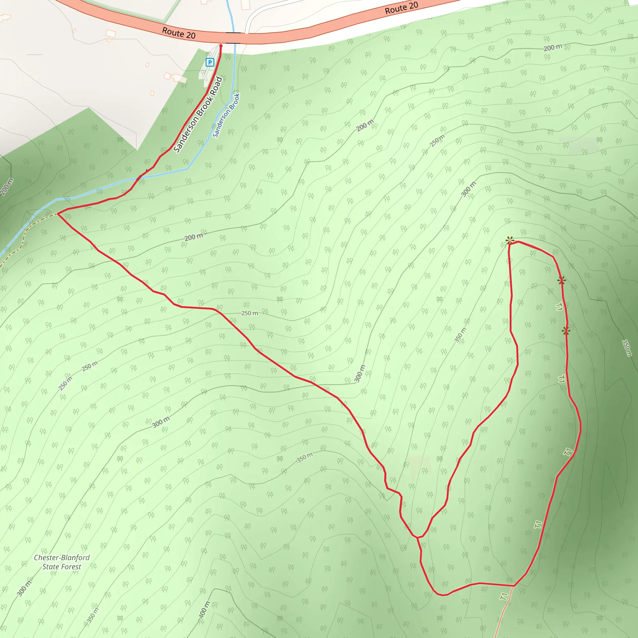 Chester-Blandford State Forest Short Trail mobile static map