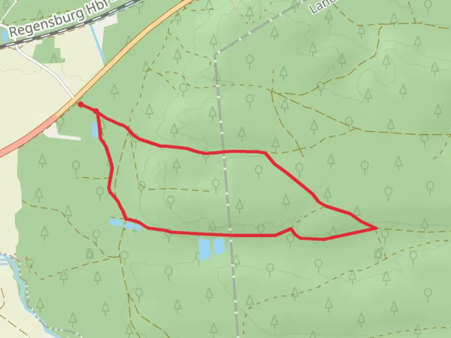 An image depicting the trail Dunzingerberg Loop and its surrounding area.