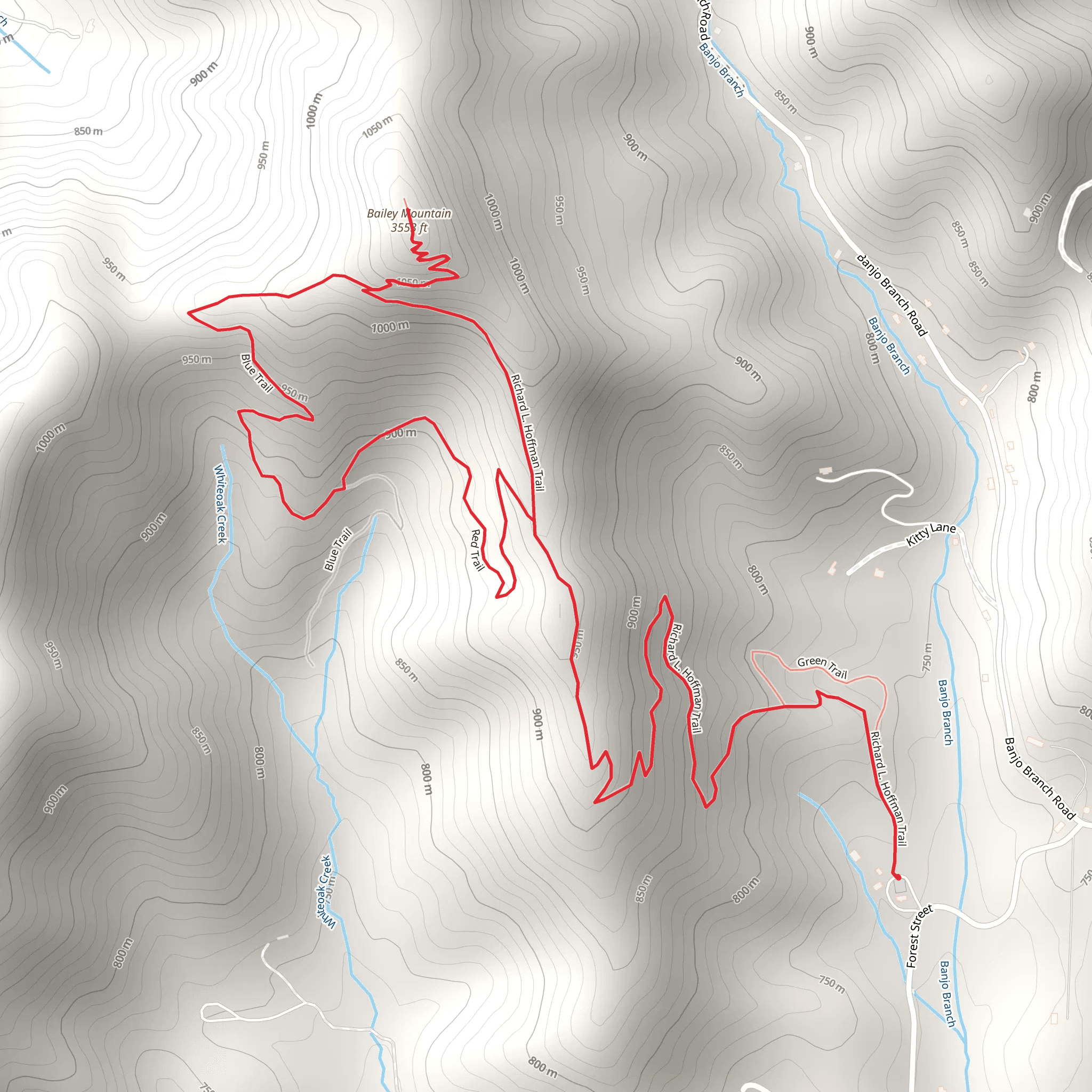 Bailey Mountain via Richard L Hoffman Trail and Blue Trail Loop mobile static map