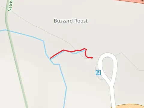 Buzzard Roost Spring