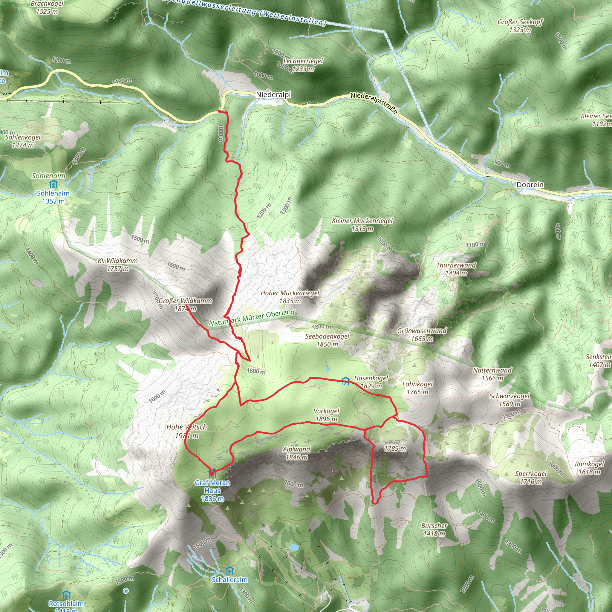 Großer Wildkamm and Hohe Veitsch Mountain Loop mobile static map