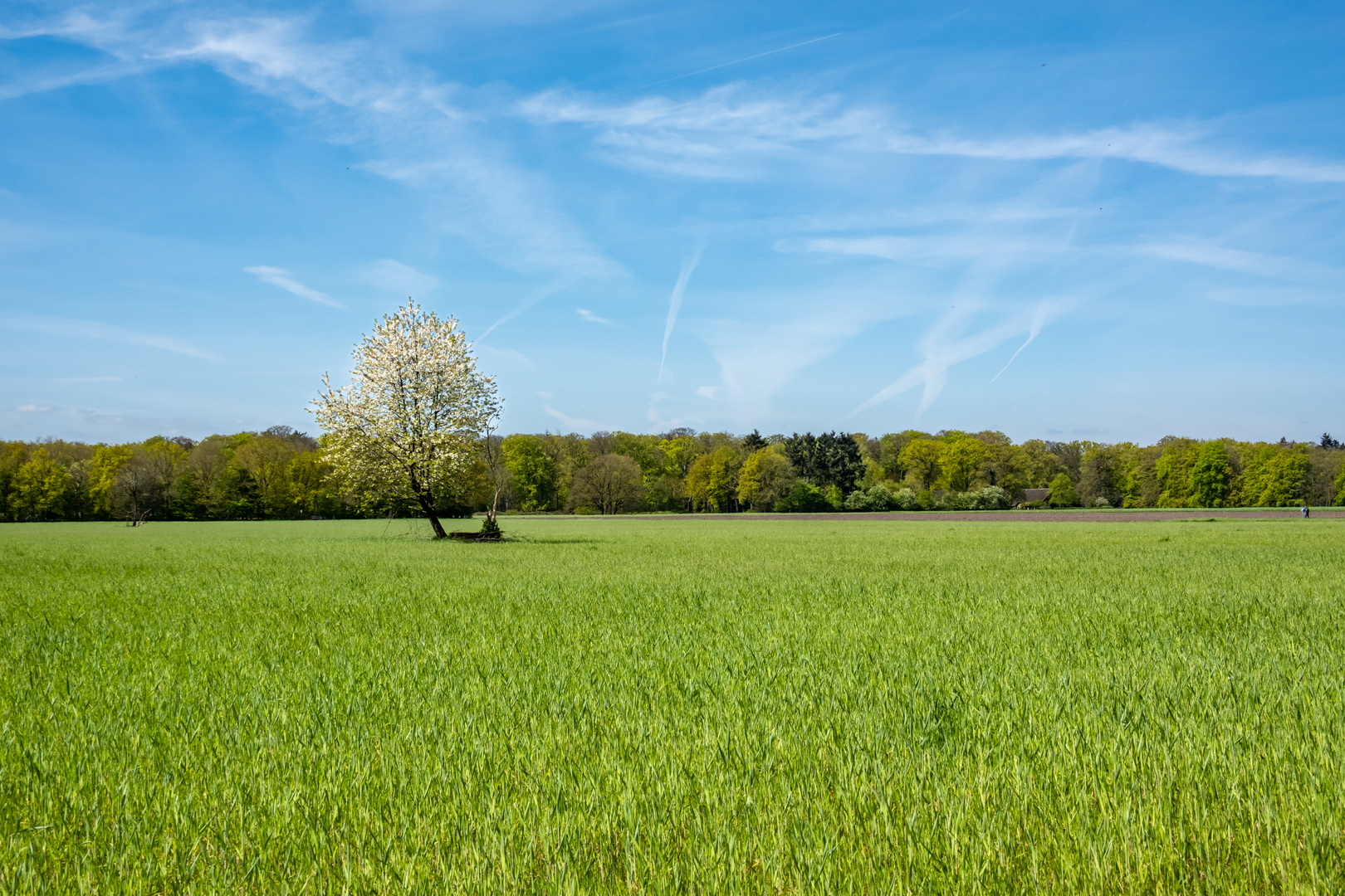 An image depicting the trail Corvershof and Gooilust via Weg naar Gooilust and its surrounding area.
