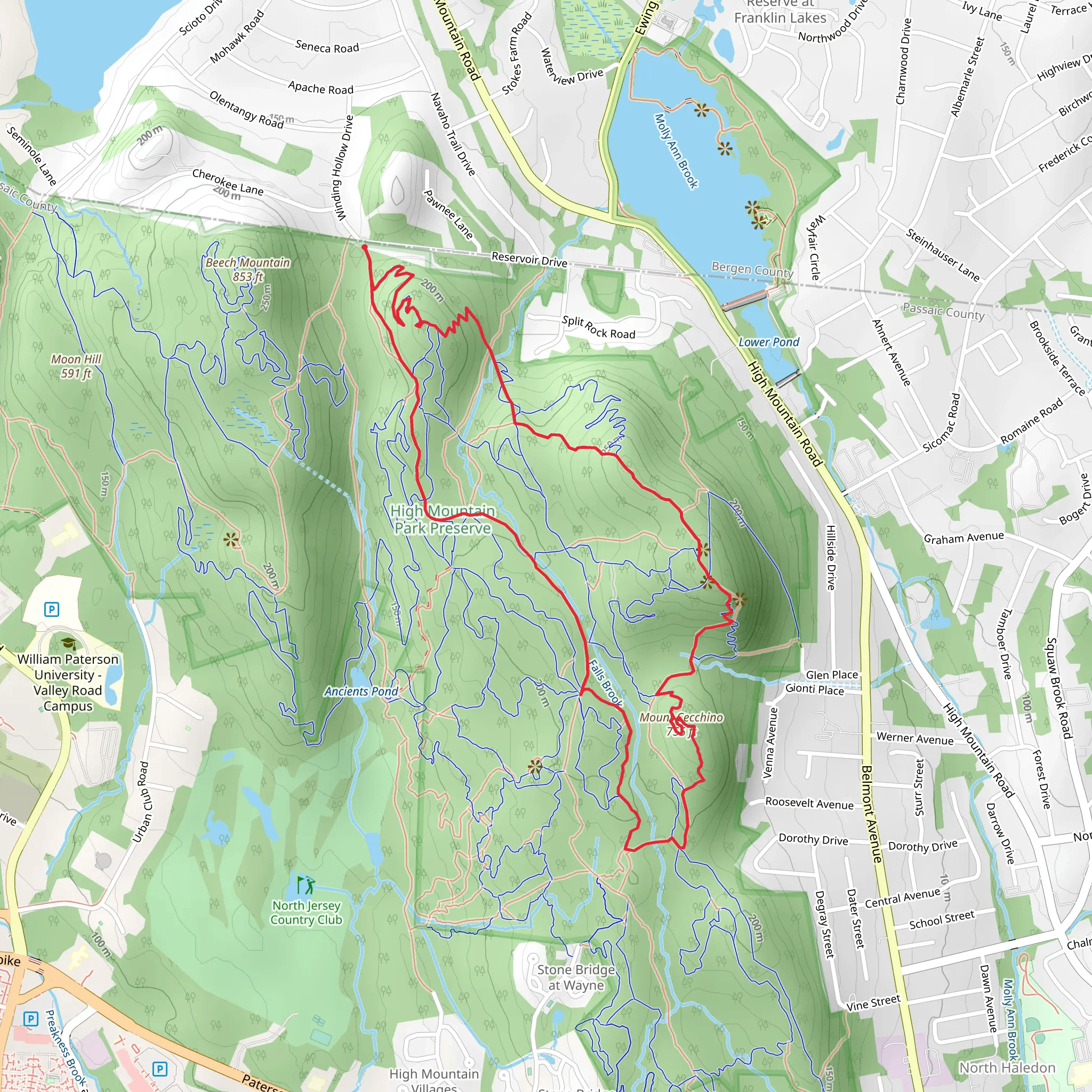 Yellow, Secret, Mount Cecchino and High Mountain Loop Trail mobile static map