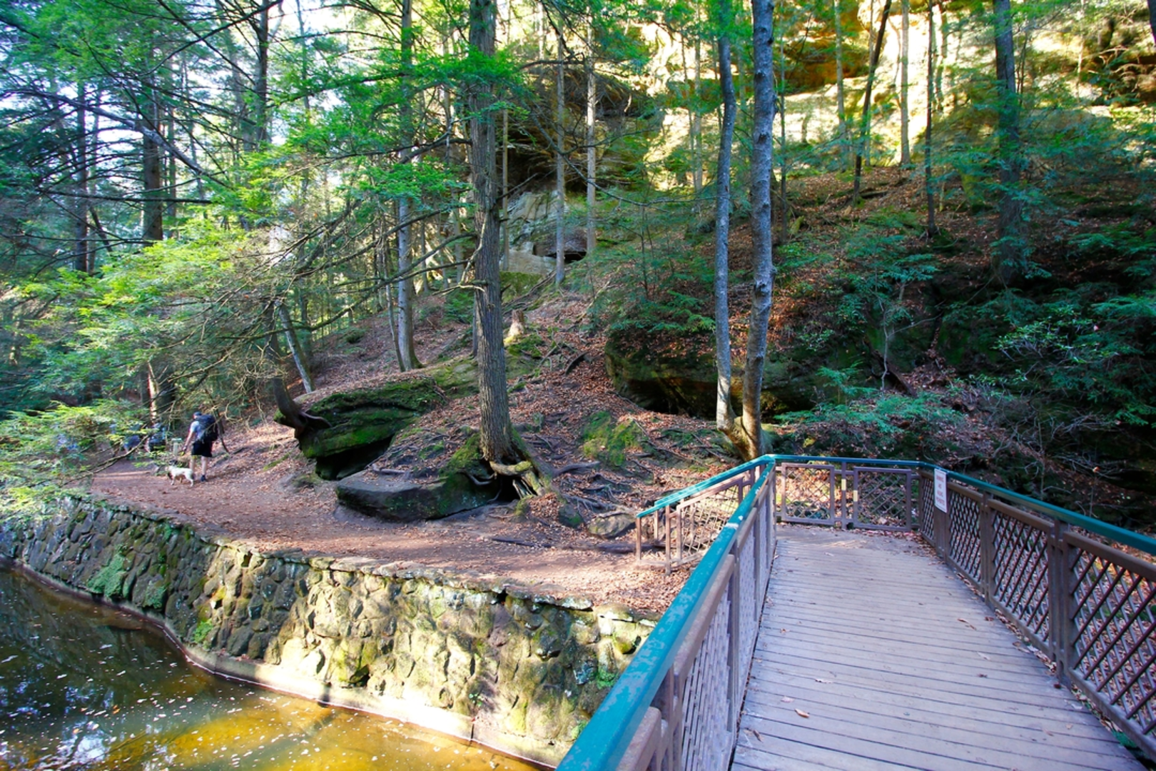 An image depicting the trail Cedar Falls Loop and its surrounding area.
