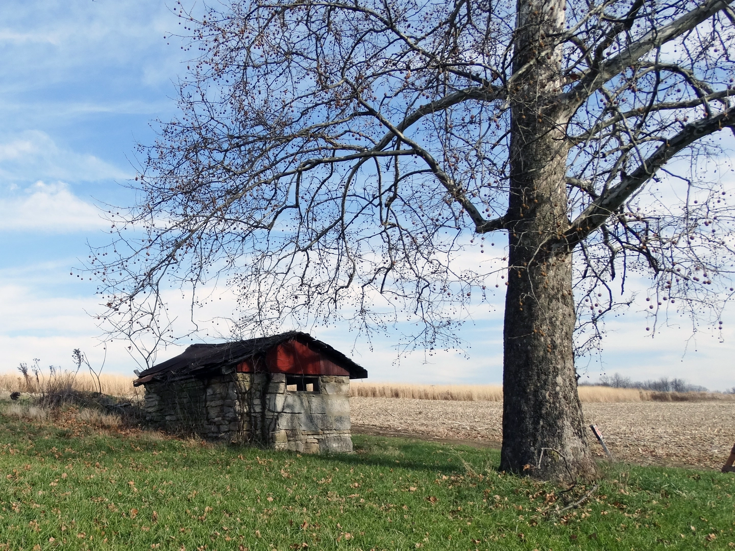 An image depicting the trail Kildoo Trail and its surrounding area.