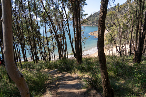 Great North Walk - Watagans National Park