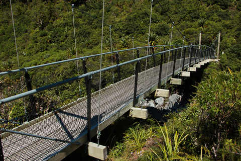 Upper Lake Dive Track to Lower Lake Dive Track
