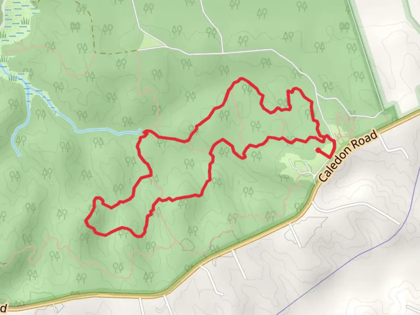 An image depicting the trail Cedar Ridge via Laurel Glen Loop and its surrounding area.