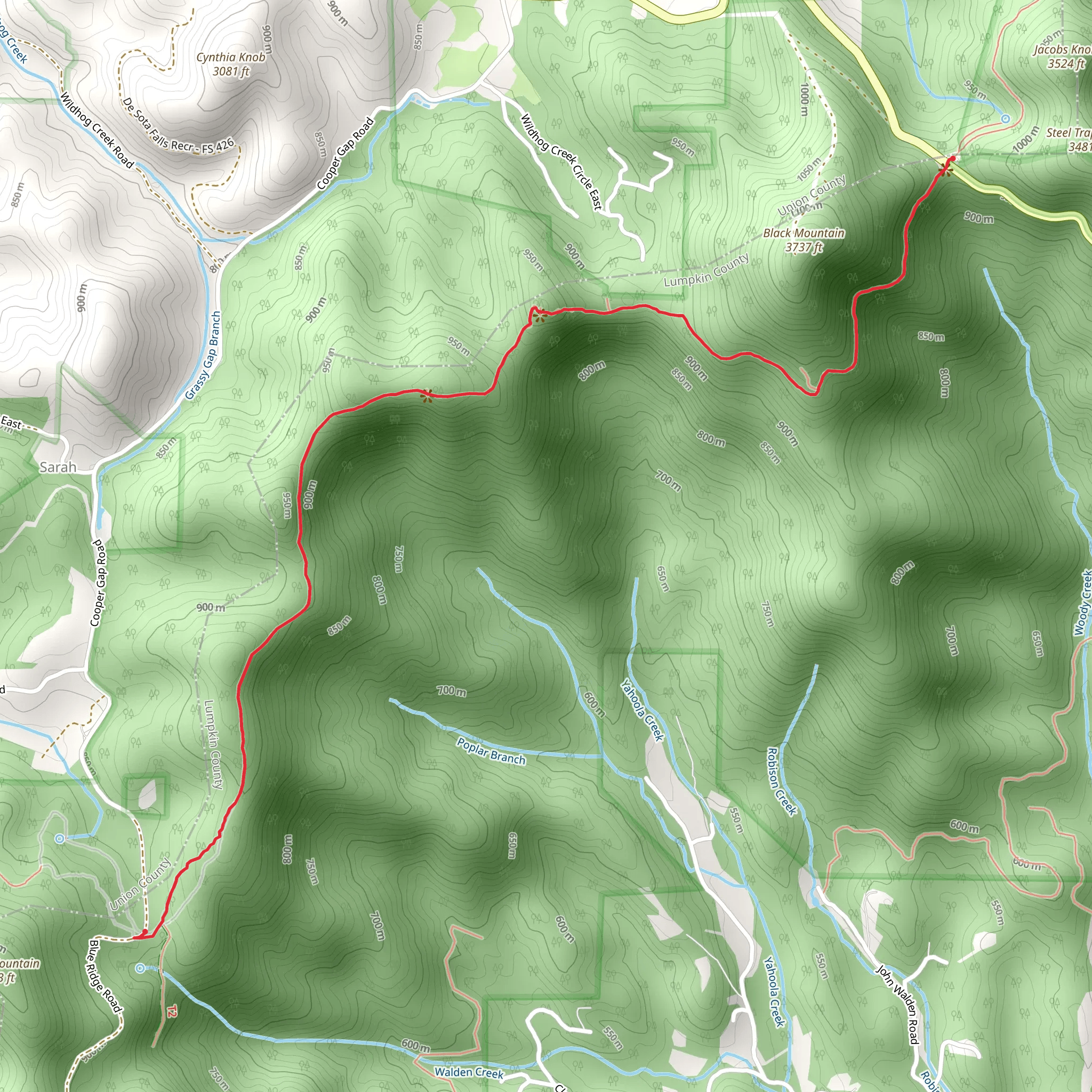 Appalachian Trail -Woody Gap mobile static map