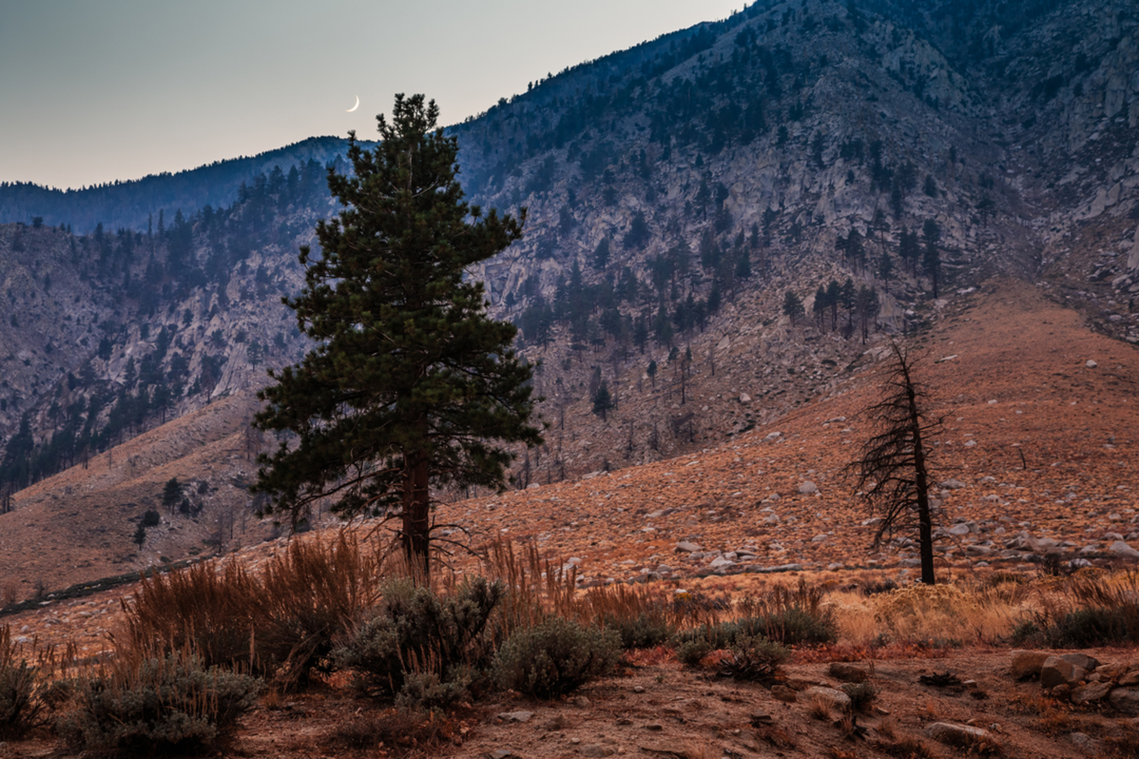 An image depicting the trail Sand Canyon Trail and its surrounding area.