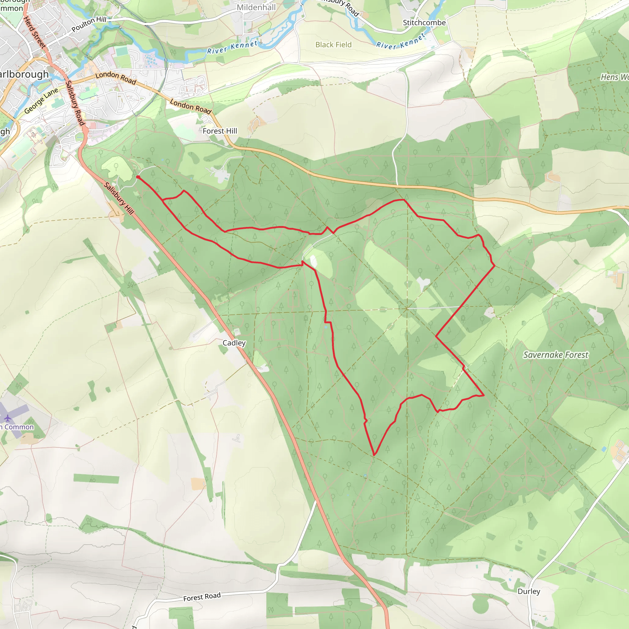 Savernake Forest Loop mobile static map