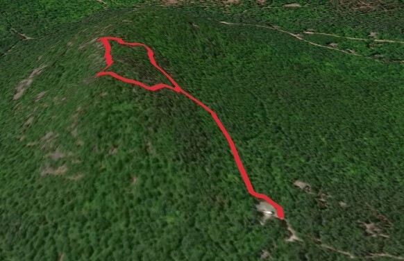 Clark Mountain Trail