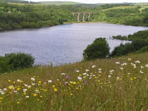 Jumbles Reservoir and Wayoh Reservoir Loop