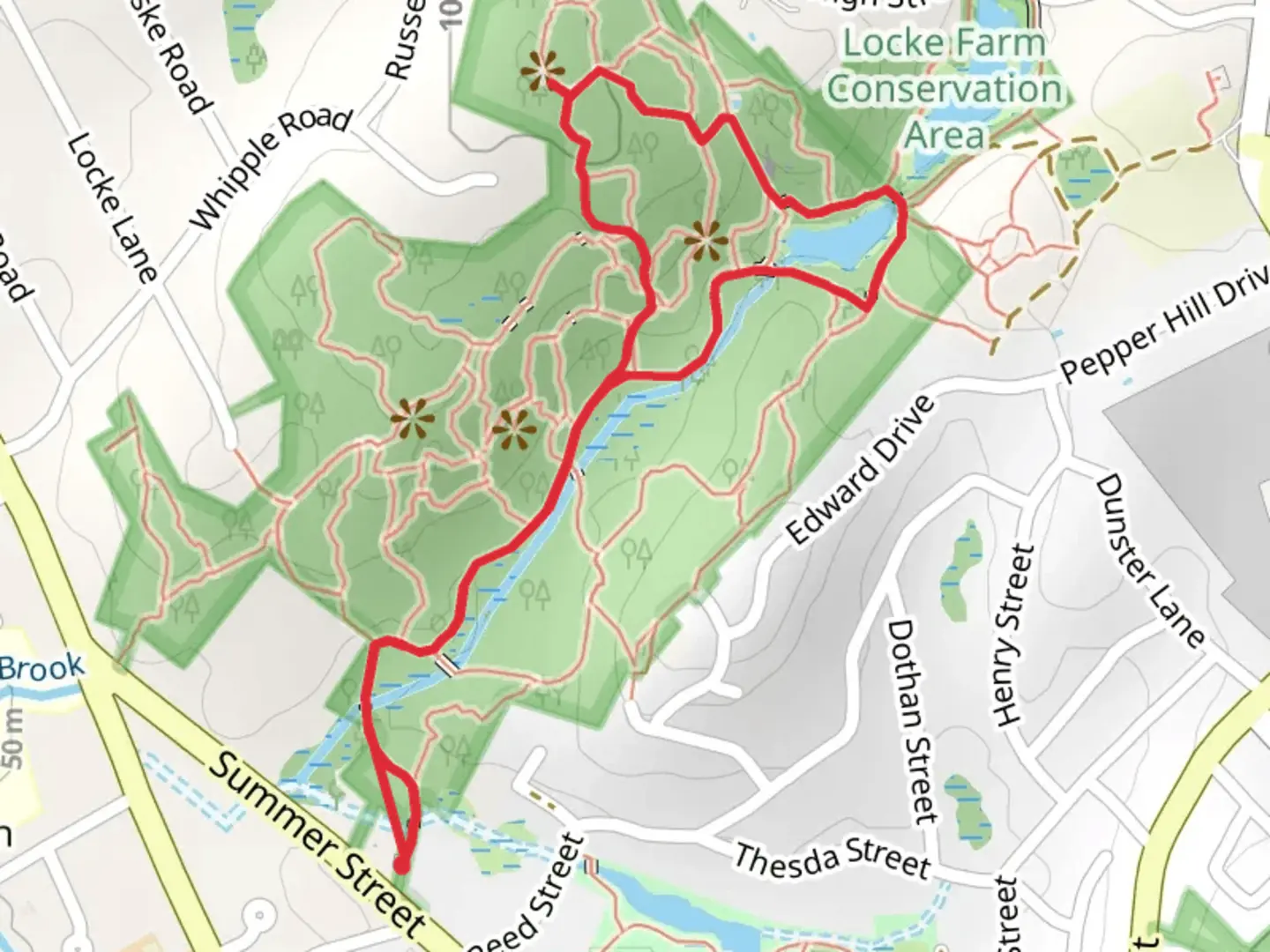An image depicting the trail Whipple Hill and Locke Pond Loop Trail and its surrounding area.