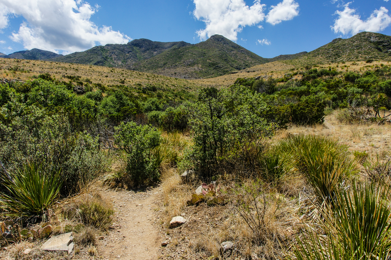 An image depicting the trail Pine Springs to McKittrick Canyon and its surrounding area.