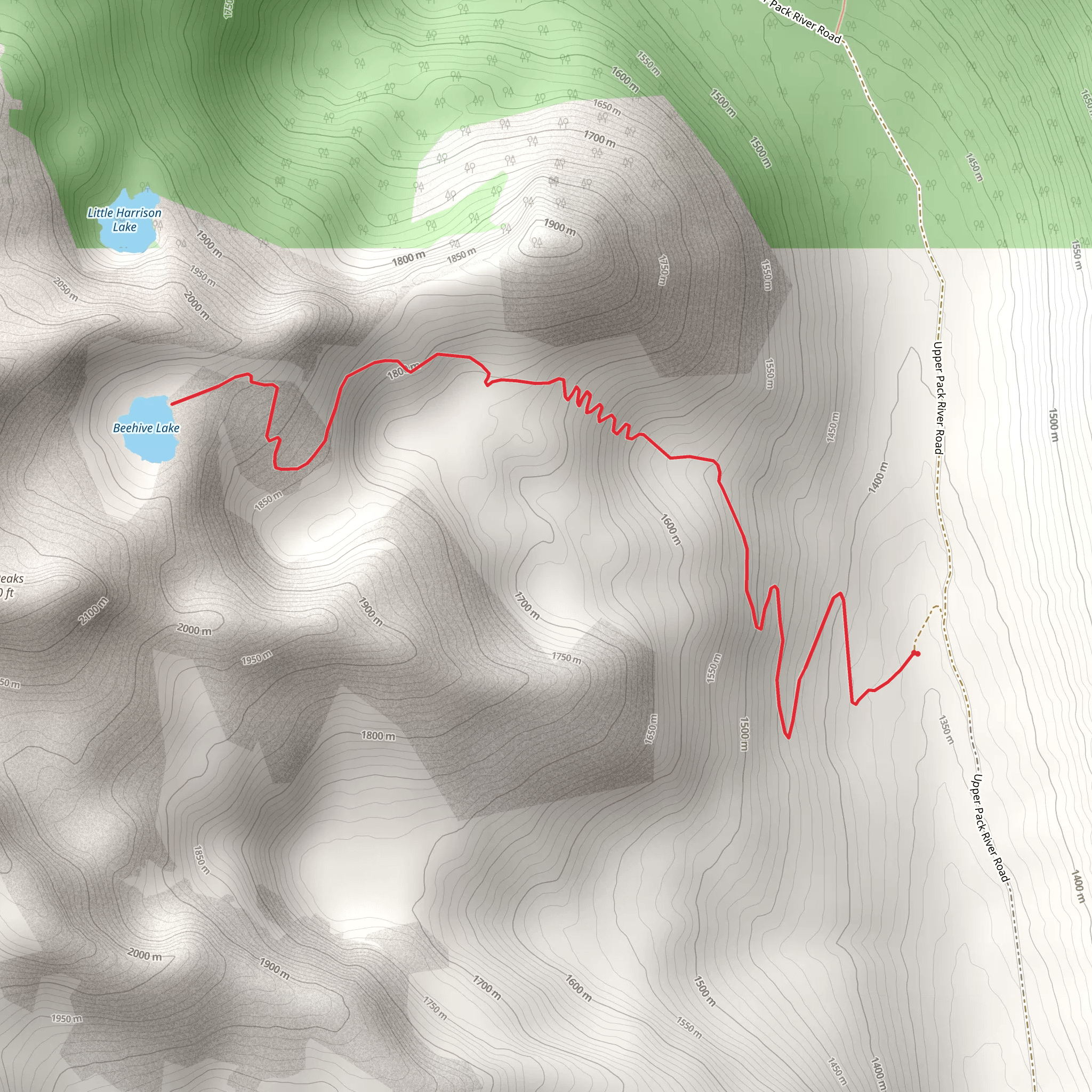 Beehike Lake Trail mobile static map