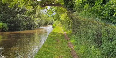 An image depicting the trail Bishop Bennet Way and its surrounding area.