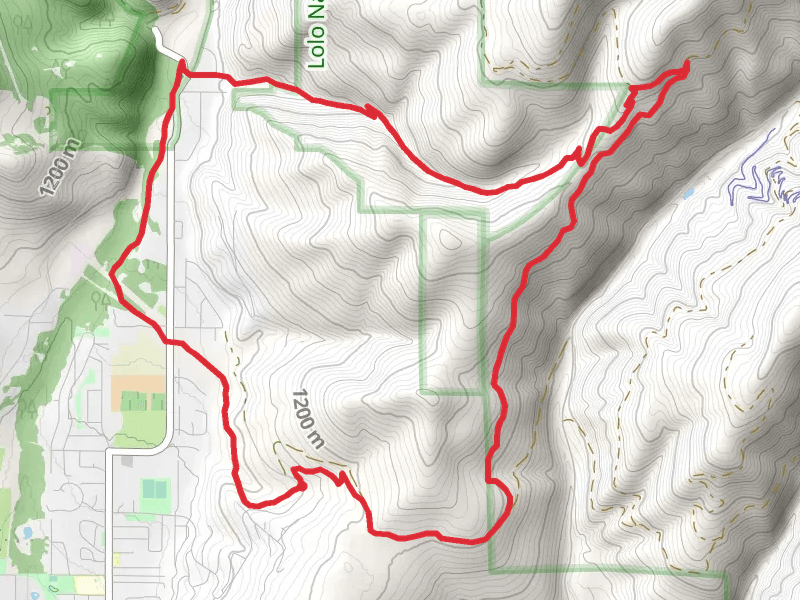 Woods Road and Woods Gulch Loop