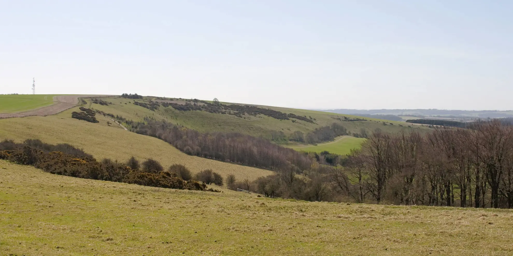 An image depicting the trail Coombe Gibbet and Walbury Hill near Inkpen and its surrounding area.
