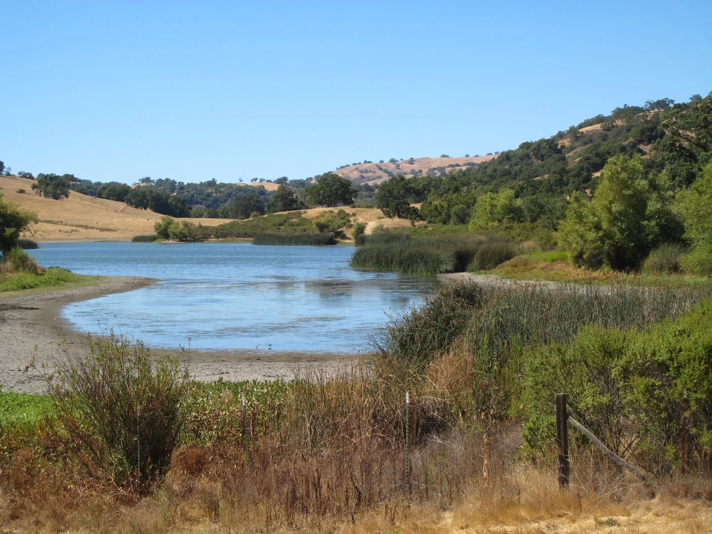 An image depicting the trail Antler Point and Boyds Creek Loop and its surrounding area.