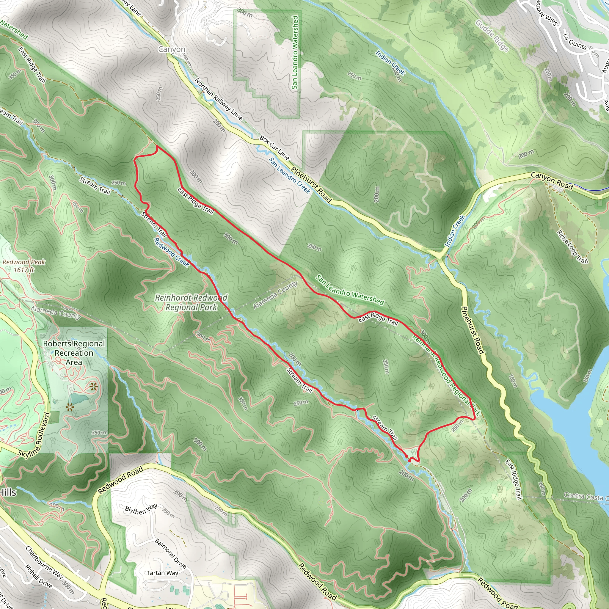 Canyon Trail, Redwood Creek and Bridle Trail Loop mobile static map