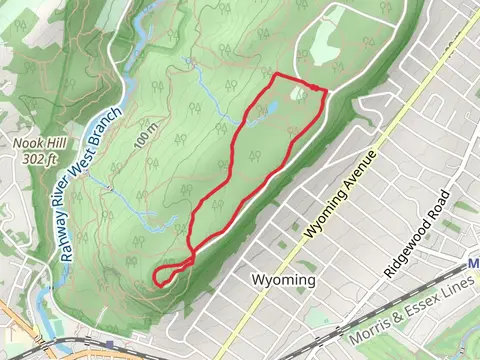 Swampy and Crest Loop Trail