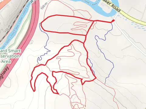 Haul Road and Yellow Dot Trail Loop