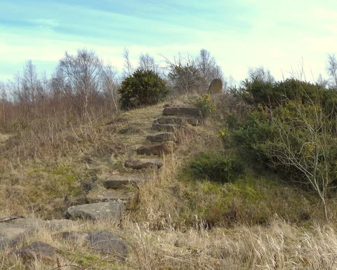 Colliers Moss Common