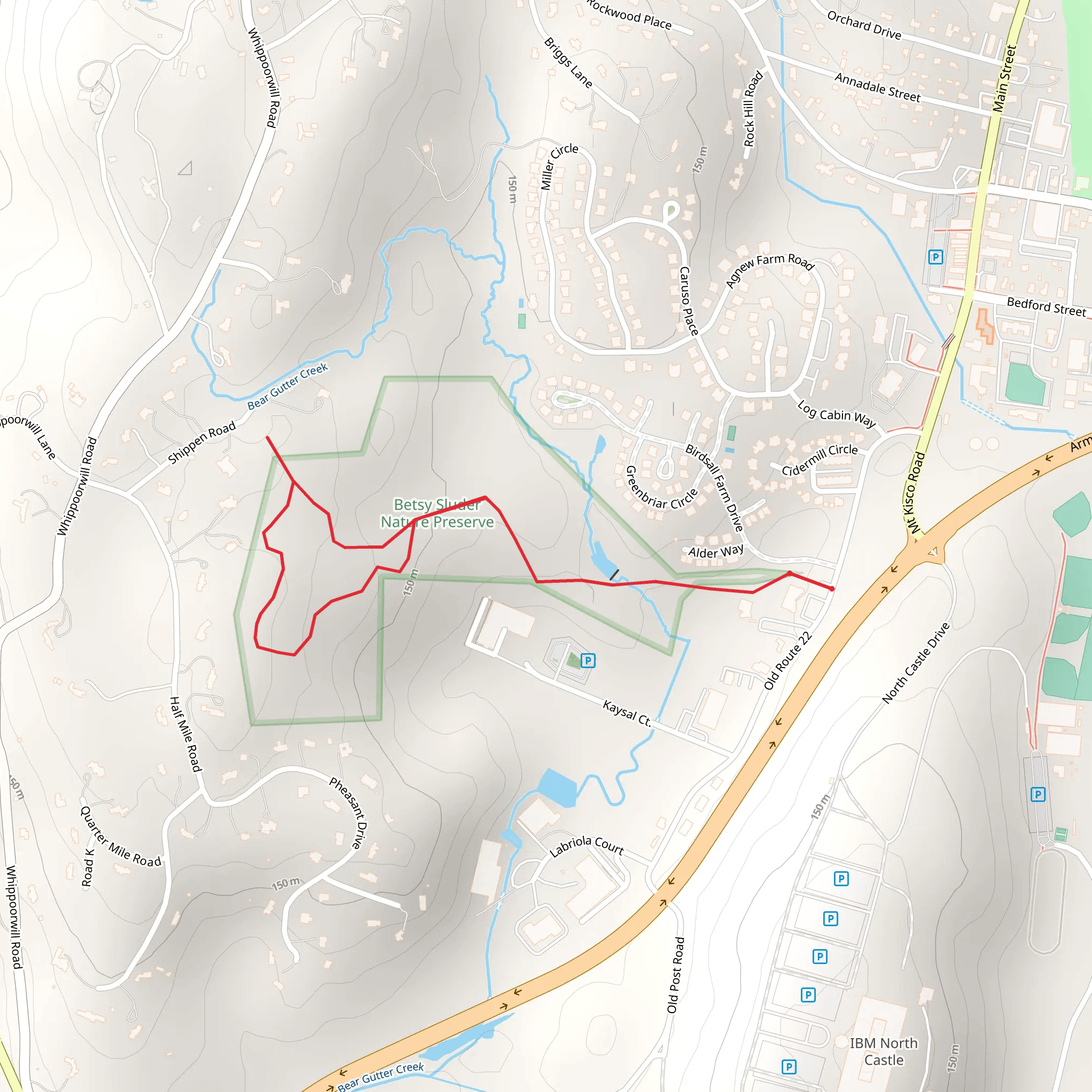 Betsy Sluder Nature Preserve Loop Trail via Old Route 22 mobile static map