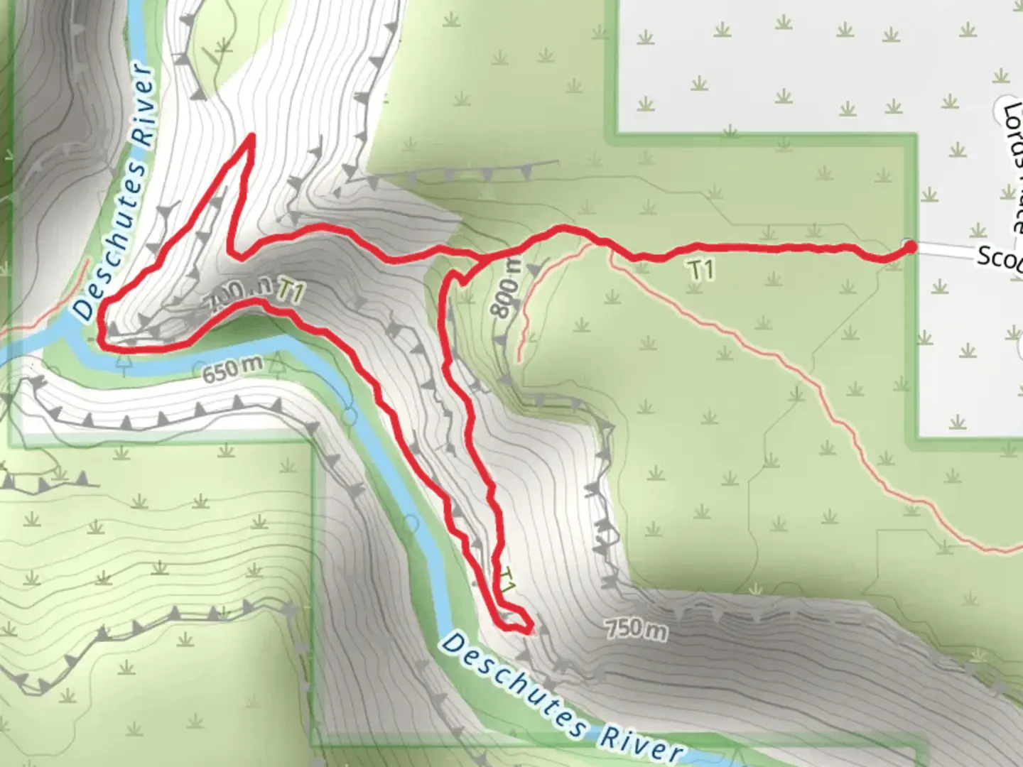 An image depicting the trail Scout Camp Loop Trail and its surrounding area.