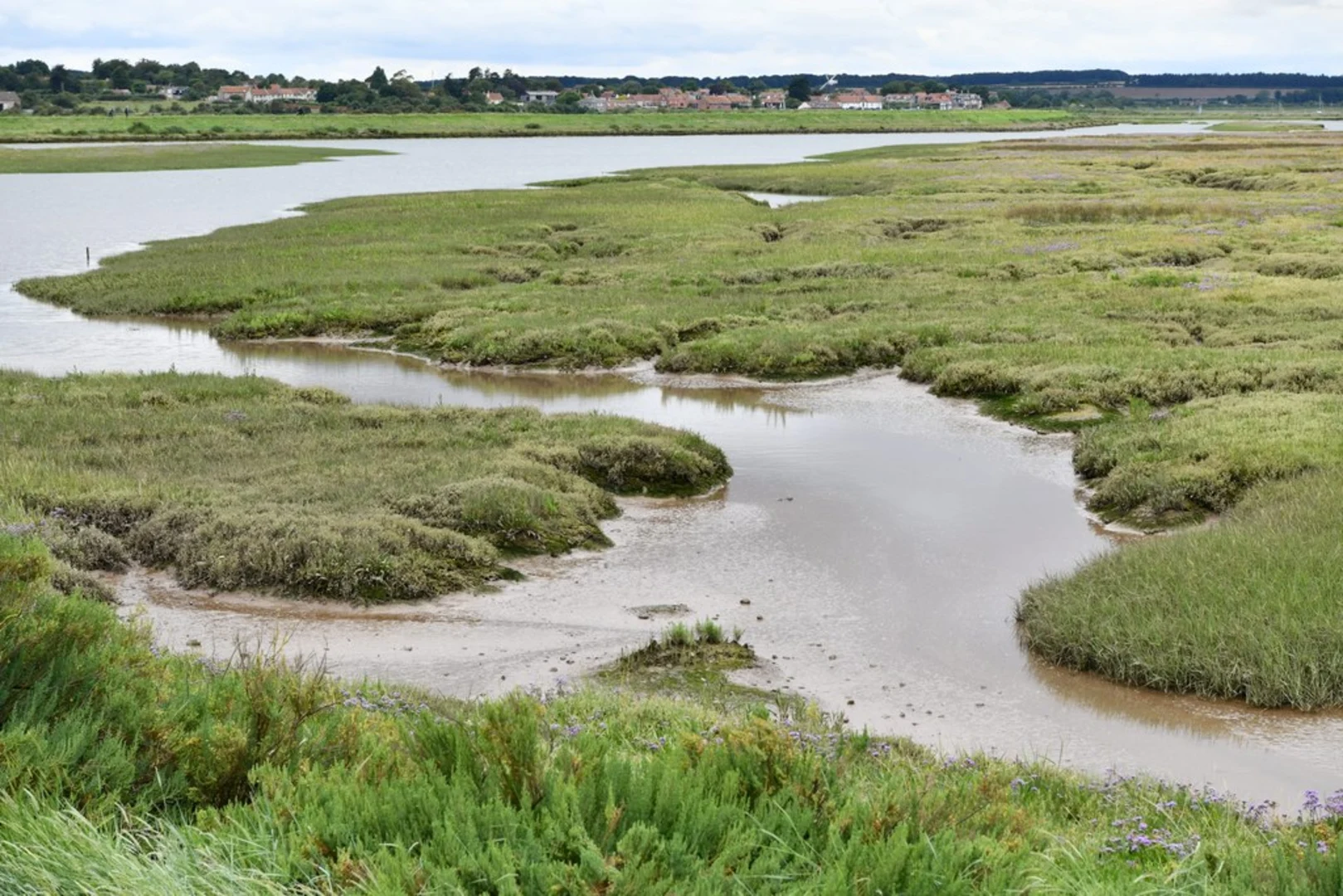 An image depicting the trail Thornham to Wells Next the Sea Walk and its surrounding area.
