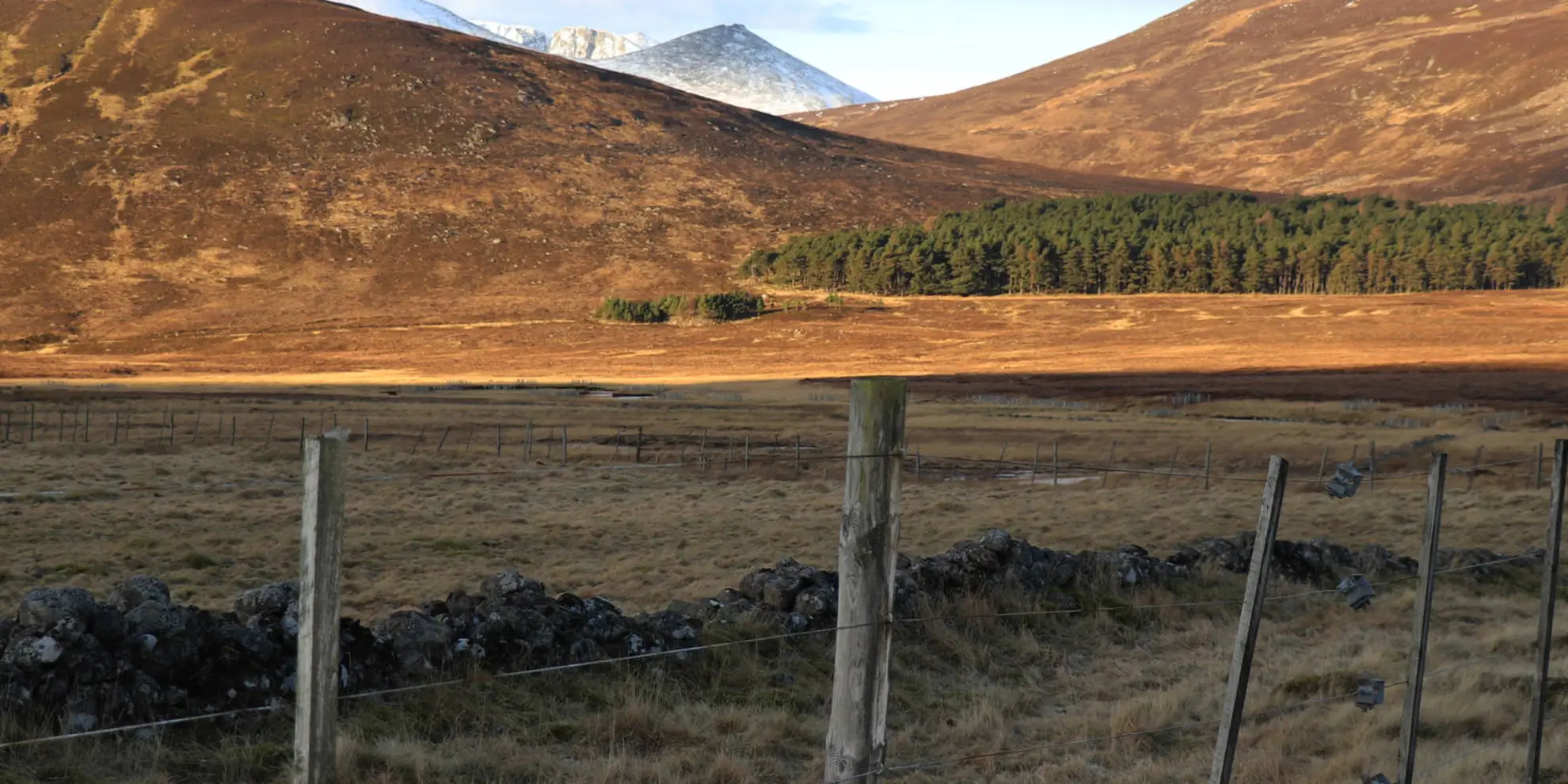 An image depicting the trail Conachcraig and Caisteal na Caillich Loop from Balmoral and its surrounding area.