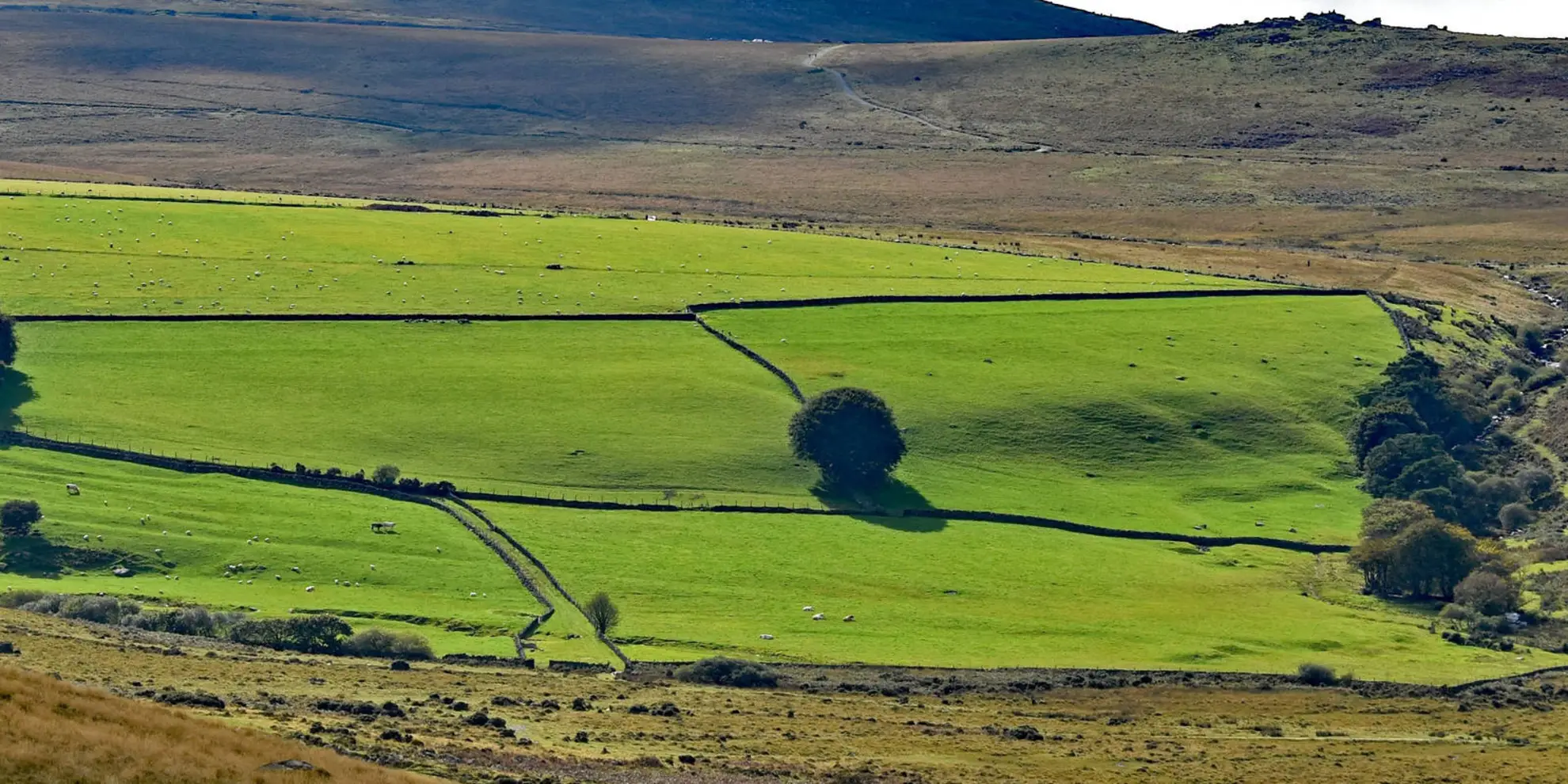 An image depicting the trail Yes Tor - Cranmere Pool and Amicombe Hill and its surrounding area.